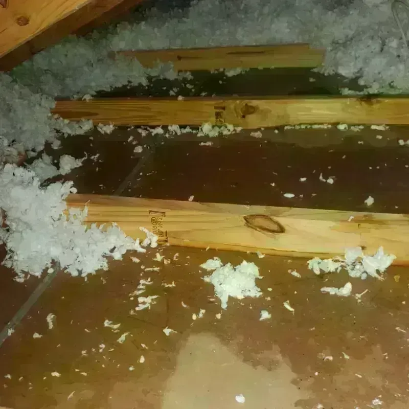 Attic Water Damage in Fowler, CO