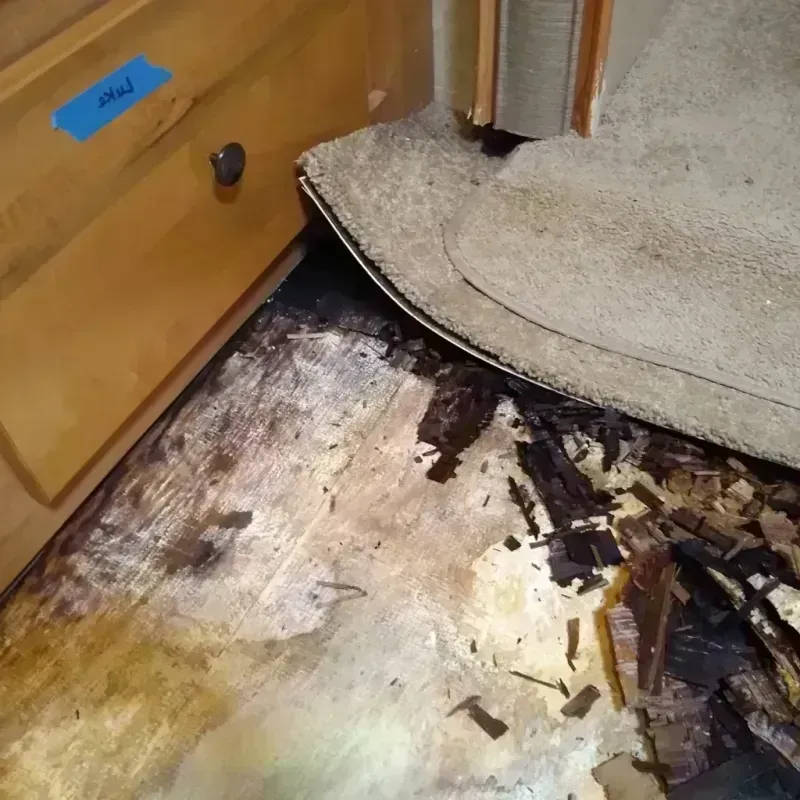 Wood Floor Water Damage in Fowler, CO